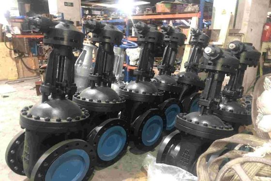 Жилые решения Globe Steel Valve для коммерческого использования