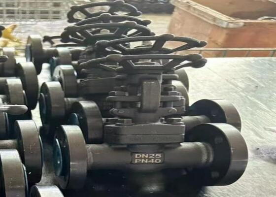 Ручной стальной задвижка с болтовым крышкой DN10-DN50 150lb-1500lb Высокая коррозионная стойкость